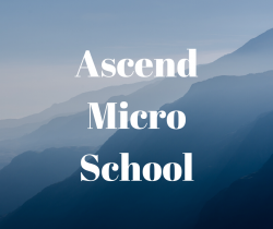 Ascend Micro School
